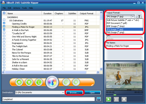 Xilisoft DVD Subtitle Ripper